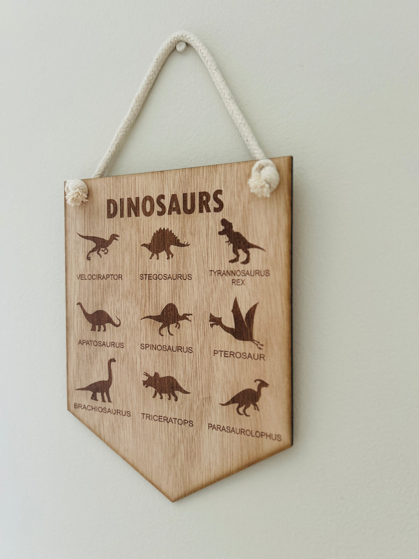 Dinosaurs Hanging Pennant